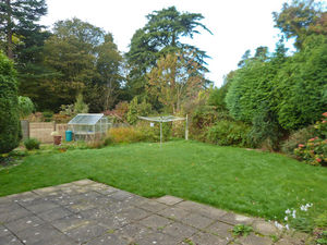 Photo 10- click for photo gallery